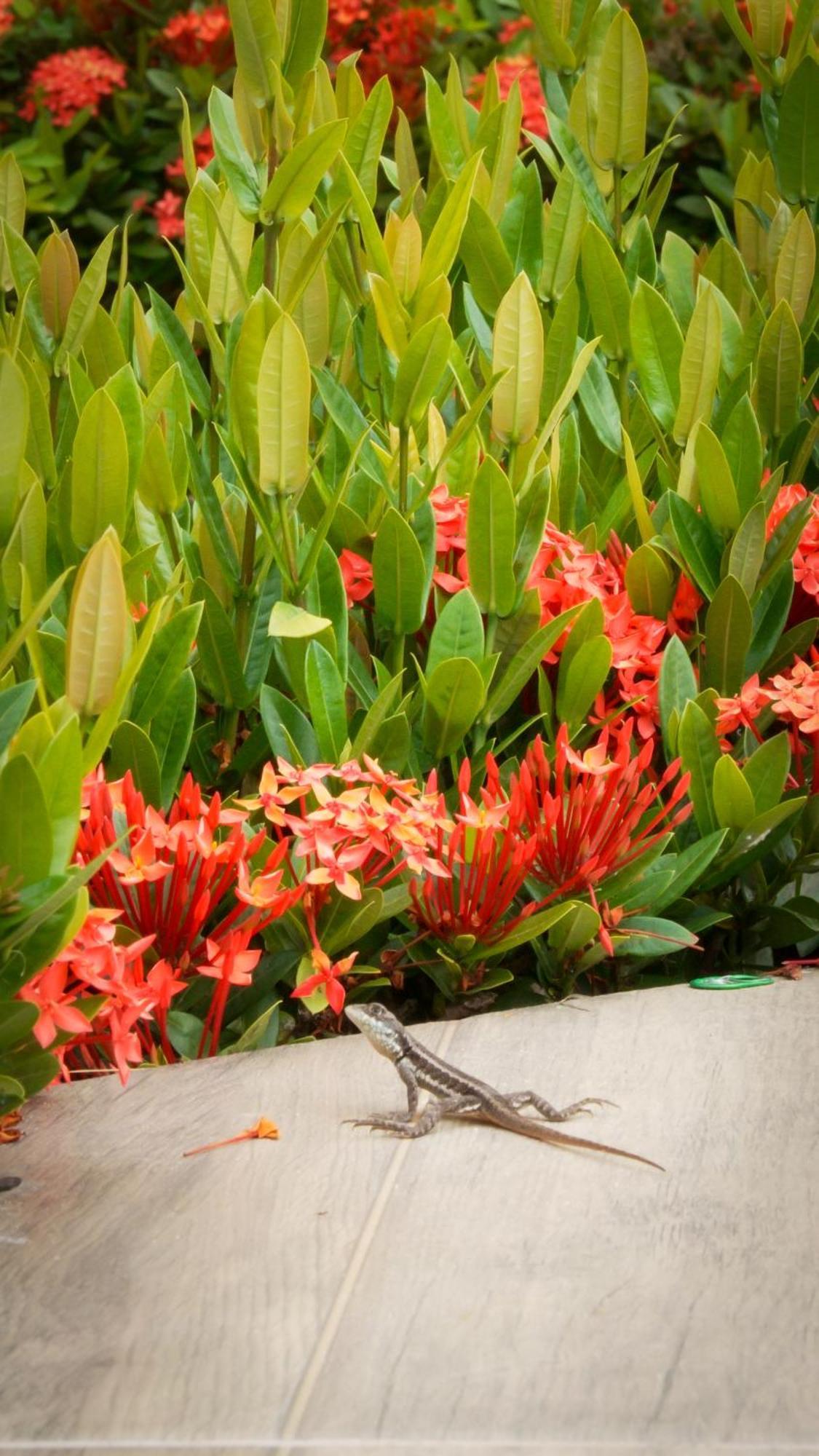 Bem Bahia Hotel - Rede Bem Bahia Mutari Exteriér fotografie